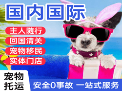 承德普宁空运代理国际宠物托运 【国
